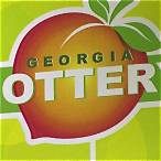 georgia lottery